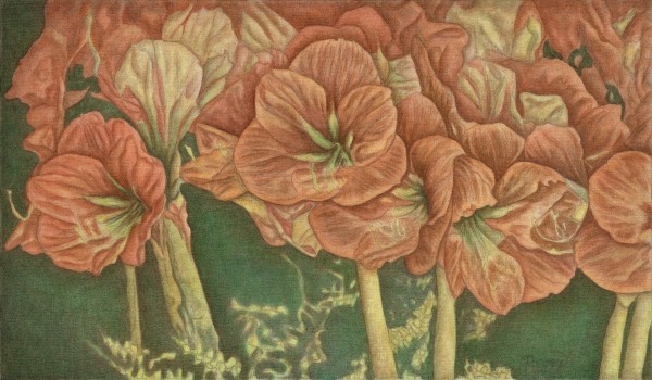 Geraniums Up Close sm paper print