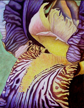 Striped Glory